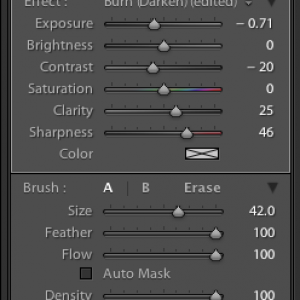 Lightroom Adjustments.png