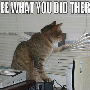iseewhatyoudid.jpg