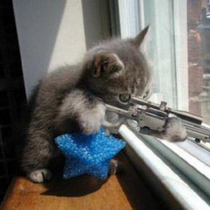 sniperkitty0gr.jpg