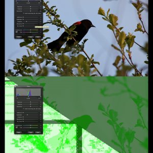 iphotoProblem.jpg