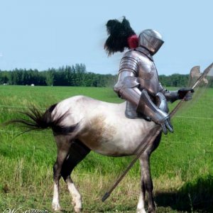 P Knight mare.jpg