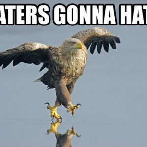 Heters gonna Hate.jpg