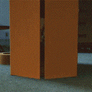 Woody-Owned.gif