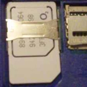 microsim.jpg