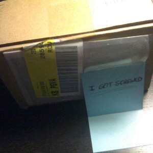 fedex4.JPG