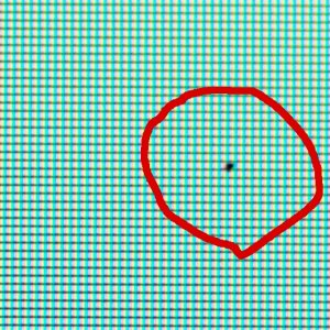 speck_left_side.jpg
