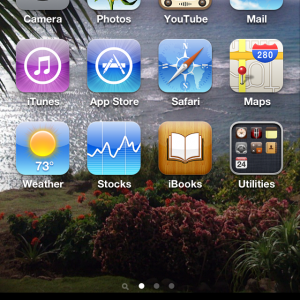 photo.PNG