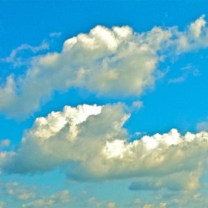 4742802197_b4c5507112_b.jpg