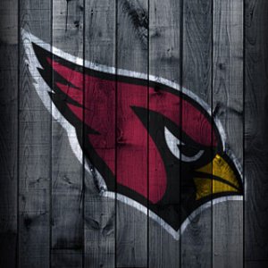 Cardinals_background.jpg