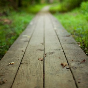wall (24).jpg