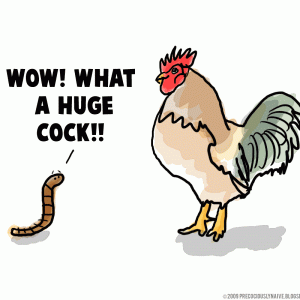 hugecock.gif