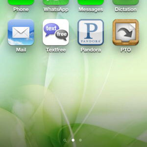 photo.PNG