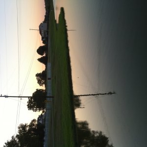 photo.JPG.jpeg