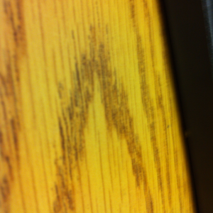 photo.PNG