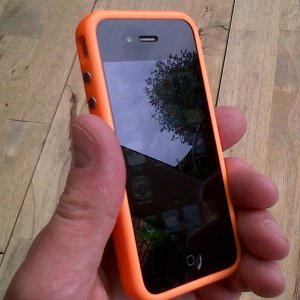 IMG00003-20100710-1357.jpg