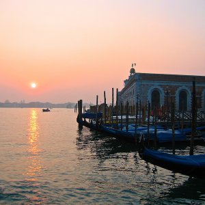 Venice Wall (1).jpg