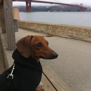 rocky.jpg