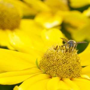 DSC_4762 - Version 2 (1).jpg