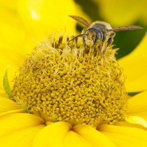 DSC_4762 - Version 2 (2).jpg