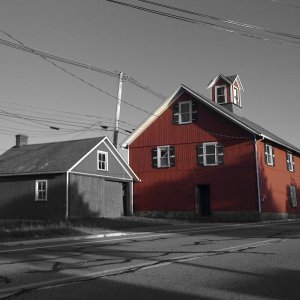 IMG_0843.jpg