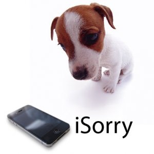 isorry_dog.jpg