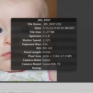 Screen shot 2010-07-15 at 5.31.27 PM.png