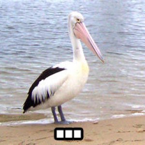 1268203107403.jpg