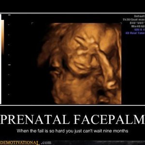 demotivational-posters-prenatal-facepalm.jpg