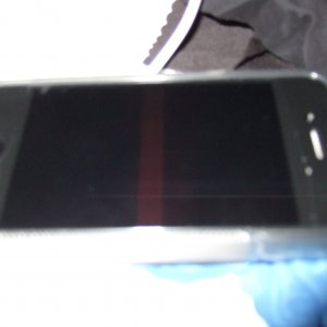 DSCF0734.JPG
