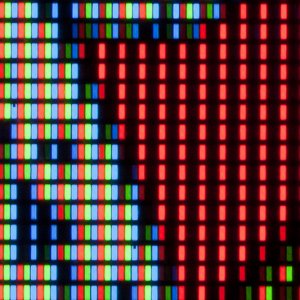 retina-0016.jpg