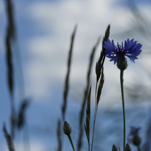 89F09717-D781-4B5C-8D78-F1EFF34E35F8.jpeg