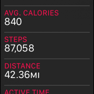 STEPS.png