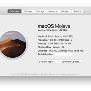 mojave.jpg