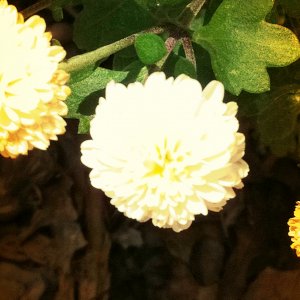 photo 3.JPG