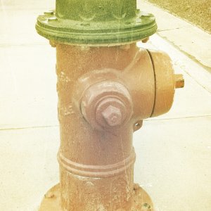 Photo1.jpg