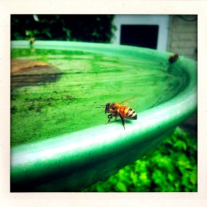 IMG_2392.jpg