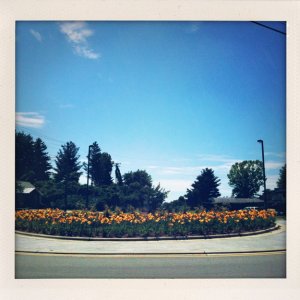 IMG_0104.jpg
