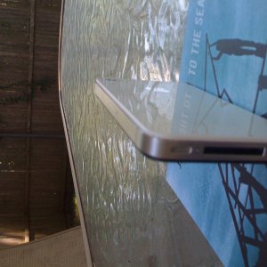 photo-1.JPG.jpeg