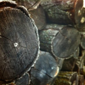 logs.jpg