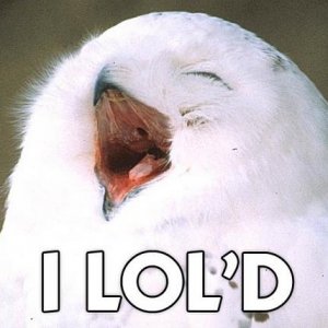 lold-44854.jpg