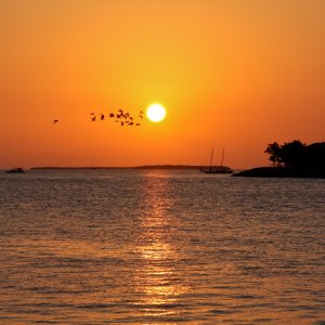 6 Mallory Square zonsondergang.jpg