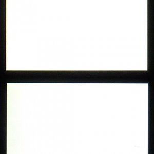 01_white.jpg