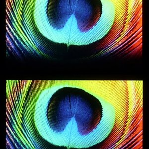 06_colors3.jpg