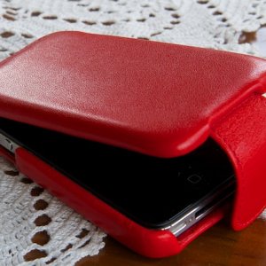 Piel Frama 21 07302010 (1).jpg