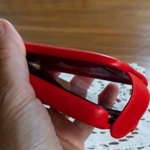 Piel Frama 25 07302010 (1).jpg