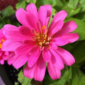 IMG_1000000176.JPG