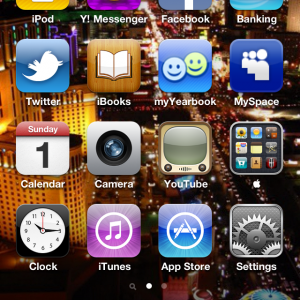 IMG_0029.PNG