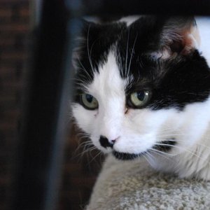 Group 1 143 (Medium).jpg