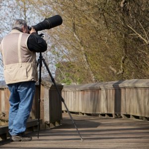 birder 002.jpg