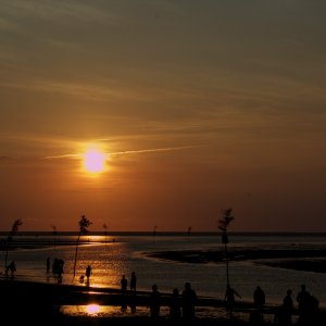 IMG_1265 - Version 2.jpg